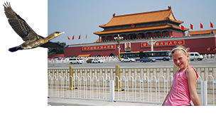 China, 23 dagen